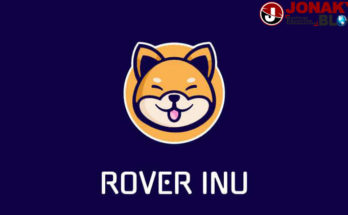Rover Inu Contract Address