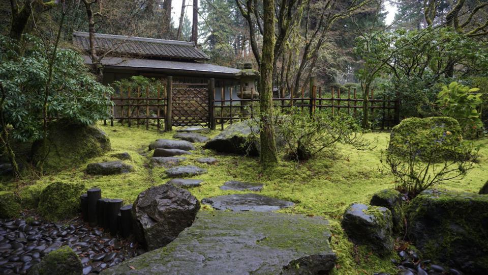 Tea Garden 3 japanese garden