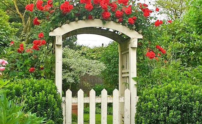 rose-covered-gate-garden-design_16096