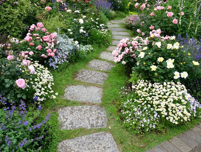 rose-garden-path-shutterstock-com_16100